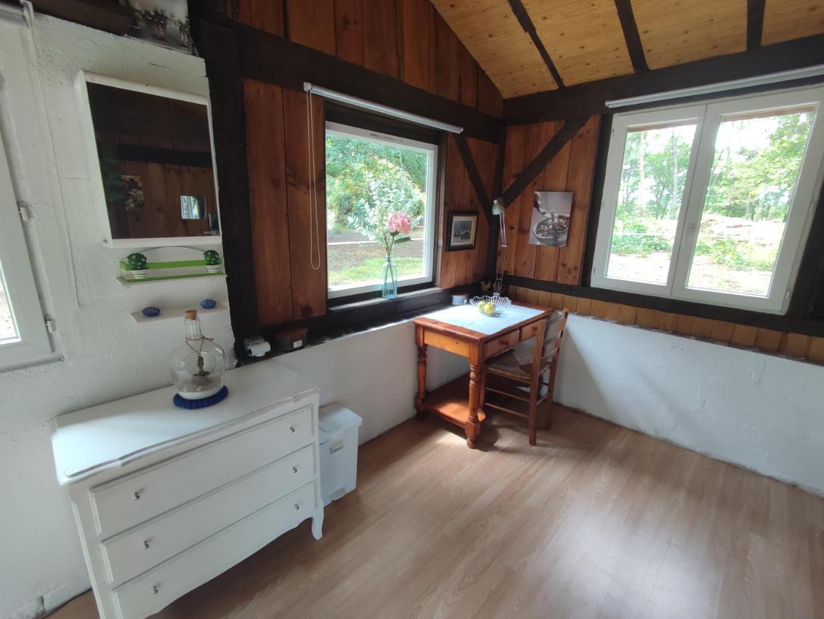 Villa La Baraque Des Artistes à Laharie Extérieur photo